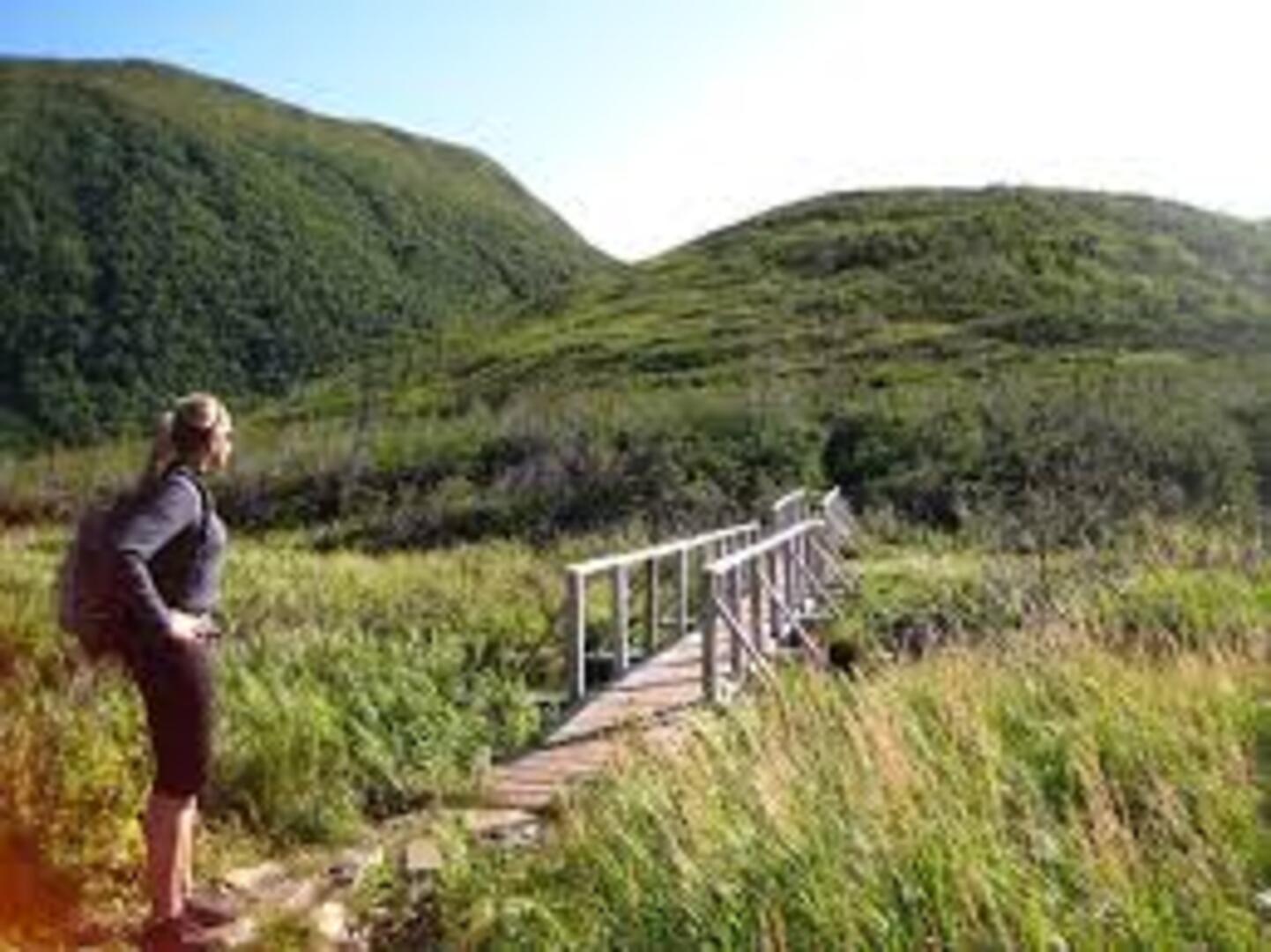 Gros Morne Mountain Trail