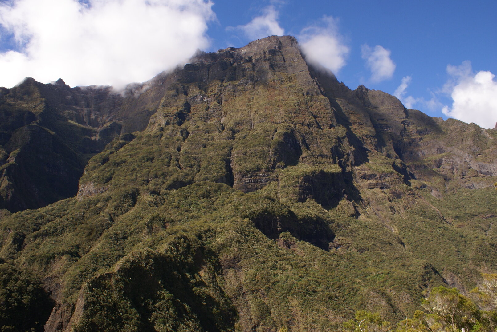 Gros Morne Summit Views